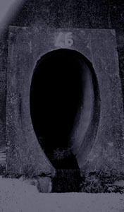 ECHO DES EGOUTS